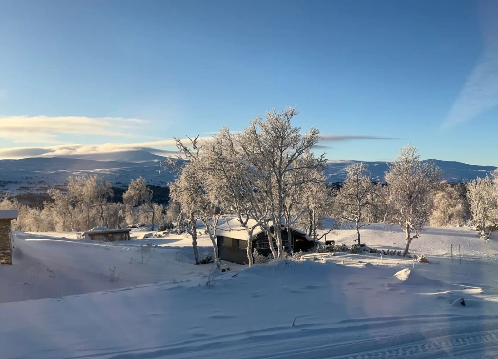 Rimfrostkledde fjellbjørker i et solbelyst vinterlandskap.