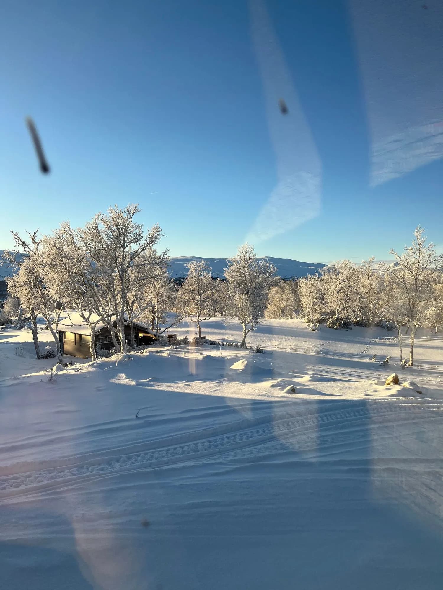 Frostrøyk og rimkledde trær i lavt vintersollys over fjellet.